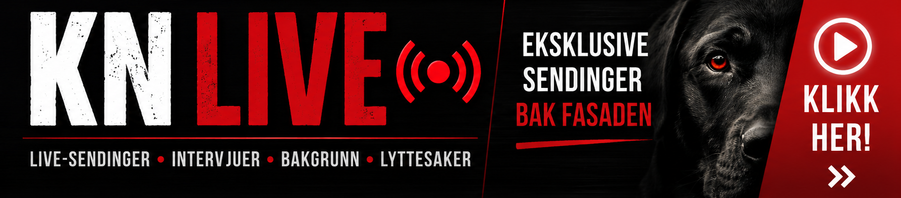 KN2.0-PatreonBannerSmall